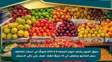 سوق العبور يشهد اليوم الجمعة 8-8-2025 هبوطًا في أسعار الفاكهة.. سعر المانجو ينخفض إلى 25 جنيهًا فقط، تعرف على باقي الأسعار